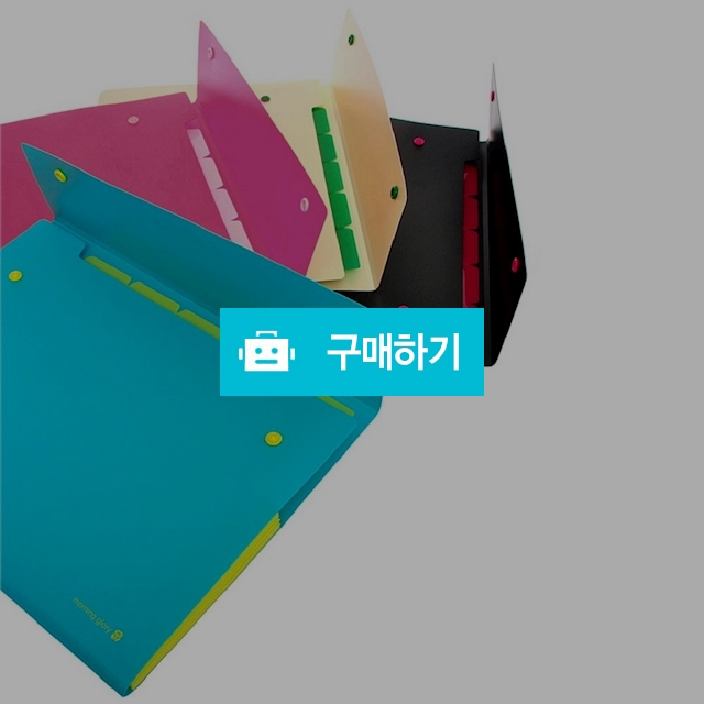 모닝글로리 아코디언파일 A4 도큐멘트화일 8분류 / 설래임 / 디비디비 / 구매하기 / 특가할인