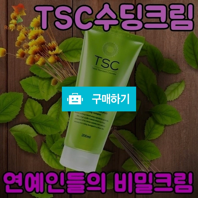 TSC수딩크림 연예인들의비밀크림  / 쭉쭉빵빵님의 스토어 / 디비디비 / 구매하기 / 특가할인