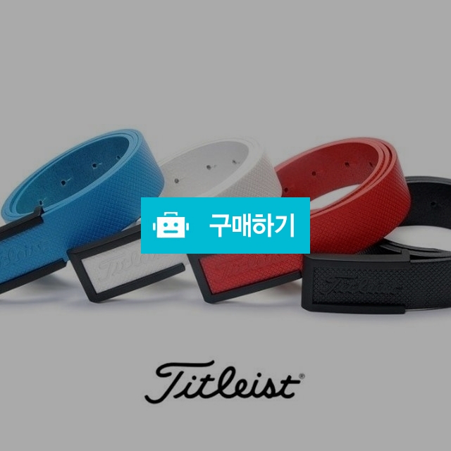 타이틀리스트 ㄷ 신상 벨트 / 스타일뿜뿜님의 스토어 / 디비디비 / 구매하기 / 특가할인