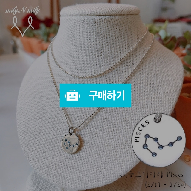 밀리앤밀리) 별자리+탄생석 은목걸이(925실버제품)무료배송 / 밀리앤밀리MilyNMily / 디비디비 / 구매하기 / 특가할인
