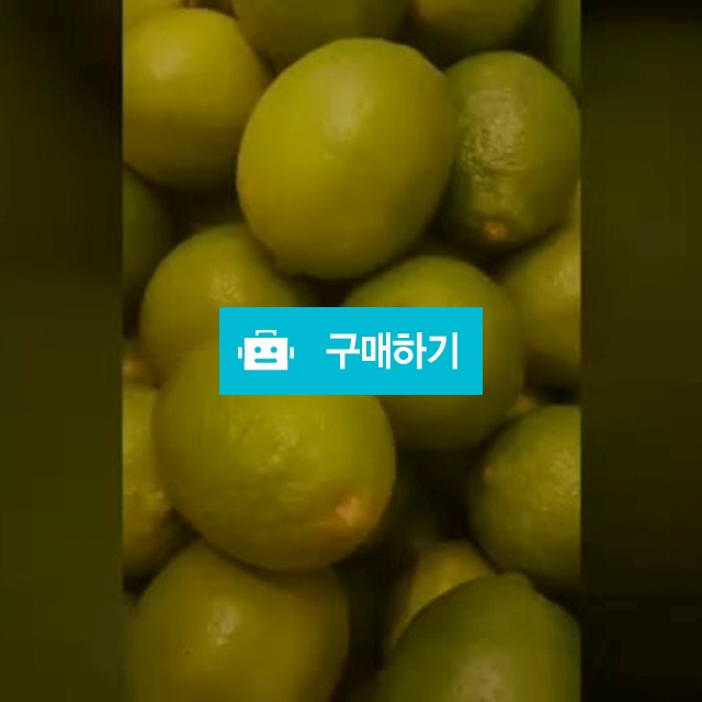 상큼터짐주의 모히또만들기 라임청+민트잎 / 곰청님의 스토어 / 디비디비 / 구매하기 / 특가할인