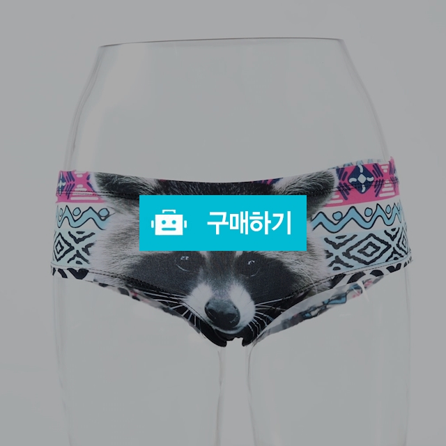 라쿤 동물 팬티 / 베리베리세일 / 디비디비 / 구매하기 / 특가할인