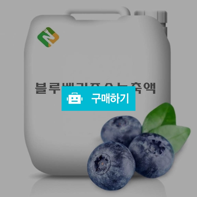 블루베리농축액 20kg / 엔트레이드코리아님의 스토어 / 디비디비 / 구매하기 / 특가할인