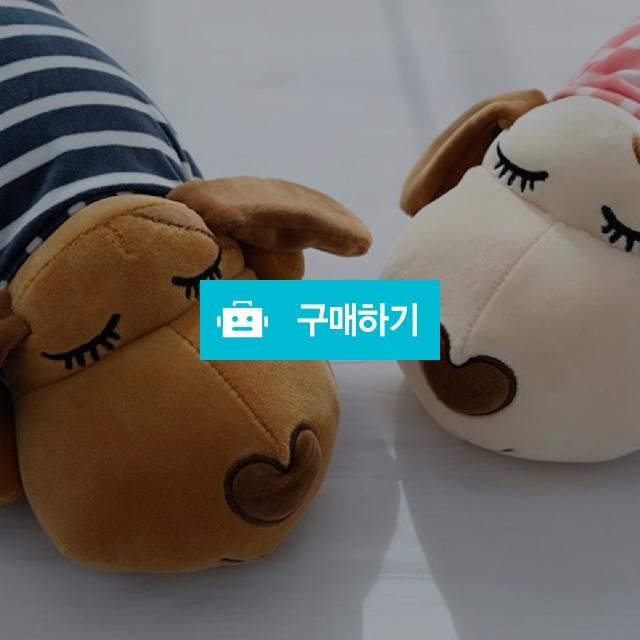 강아지 / 베스트쿠션 / 디비디비 / 구매하기 / 특가할인