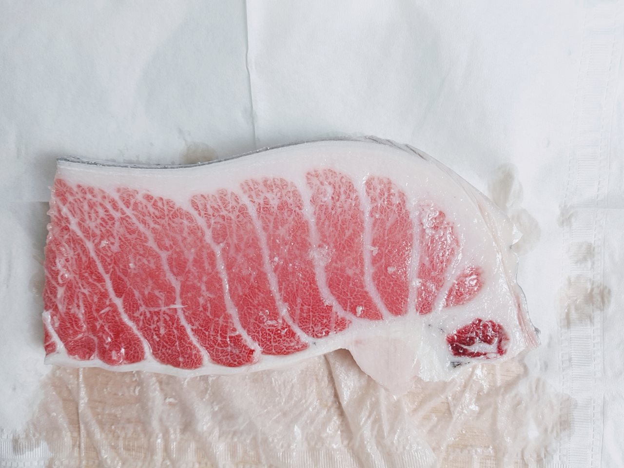 참다랑어1블럭(900g), 98,000원, 죽도마켓 [디비디비] 참다랑어1블럭(900g) | 98,000원