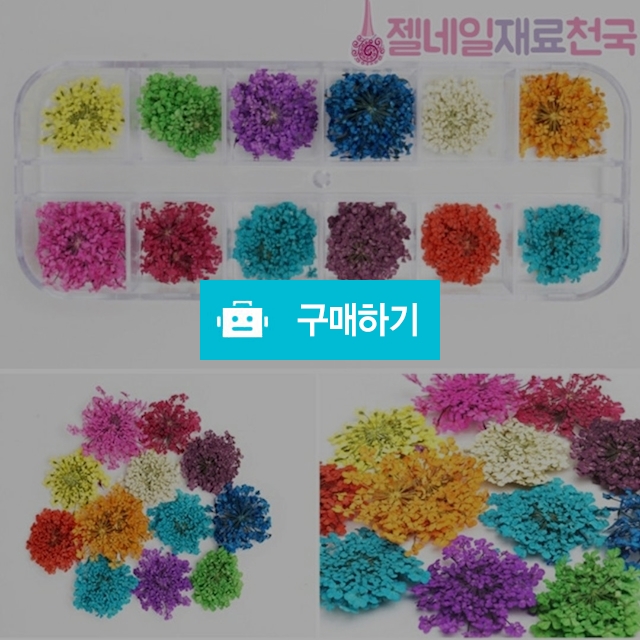 드라이플라워 네일아트 압화꽃 / 젤네일재료천국 / 디비디비 / 구매하기 / 특가할인