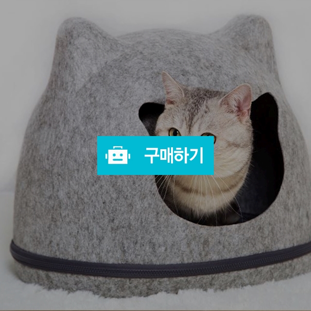 탁펫 야옹야옹 숨숨집 / 리빙듀오님의 스토어 / 디비디비 / 구매하기 / 특가할인