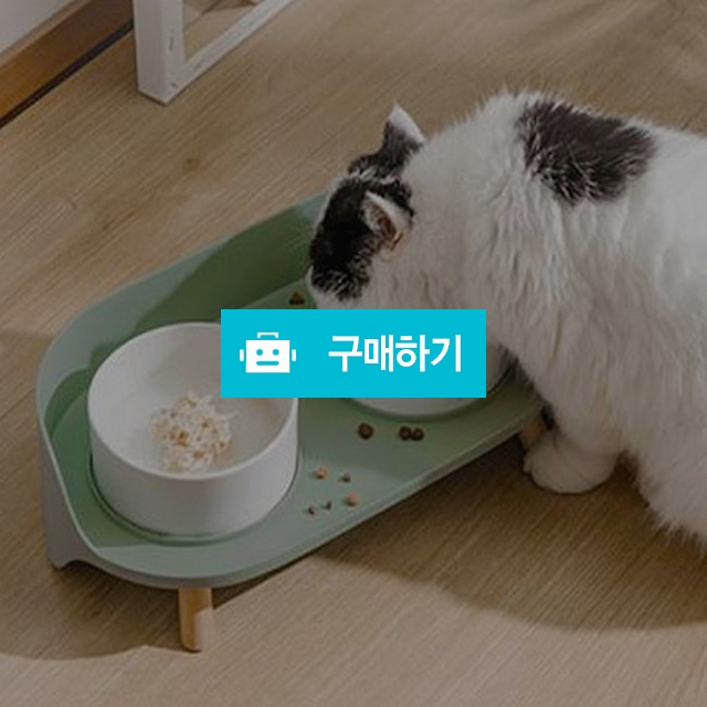 애견 반려동물 강아지 듀얼 도자기 2구 식기 식탁 고양이 밥그릇 물그릇 / 댕유마켓님의 스토어 / 디비디비 / 구매하기 / 특가할인