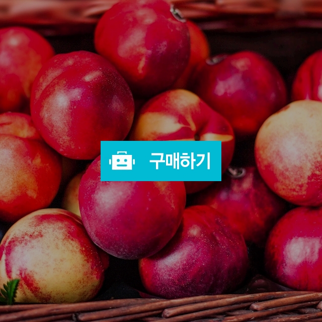 천도 복숭아 1kg,2kg 랜덤혼합과 / 영 프루트 Young Fruits / 디비디비 / 구매하기 / 특가할인
