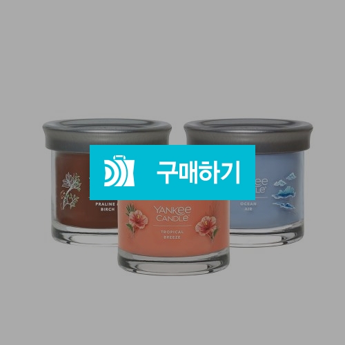 [즉시발송] 양키캔들 양키캔들 시그니처 텀블러(S) 기프티콘 / 올콘 / 디비디비 / 구매하기 / 특가할인