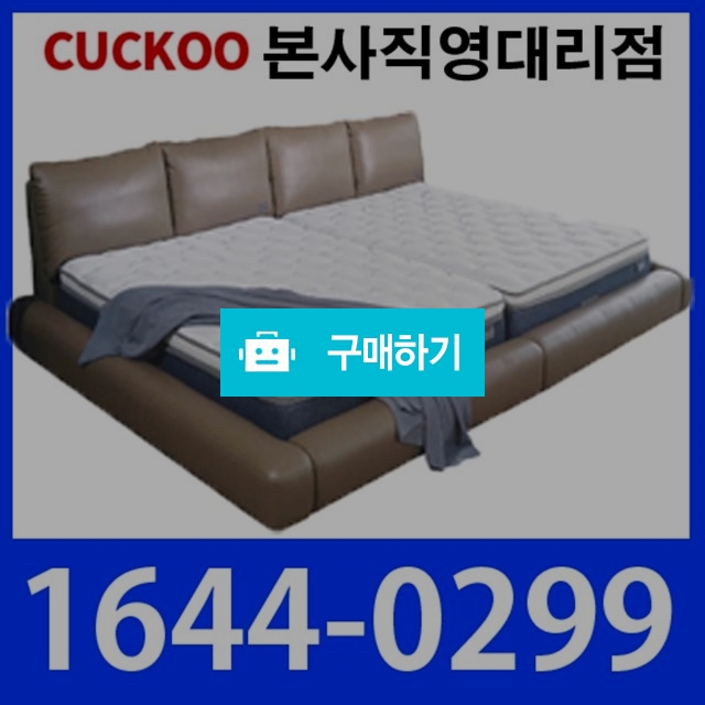 홈쇼핑침대렌탈 팔로모저상형 퀸사이즈 (60개월약정 월/47,900원) / 클렌비스님의 스토어 / 디비디비 / 구매하기 / 특가할인