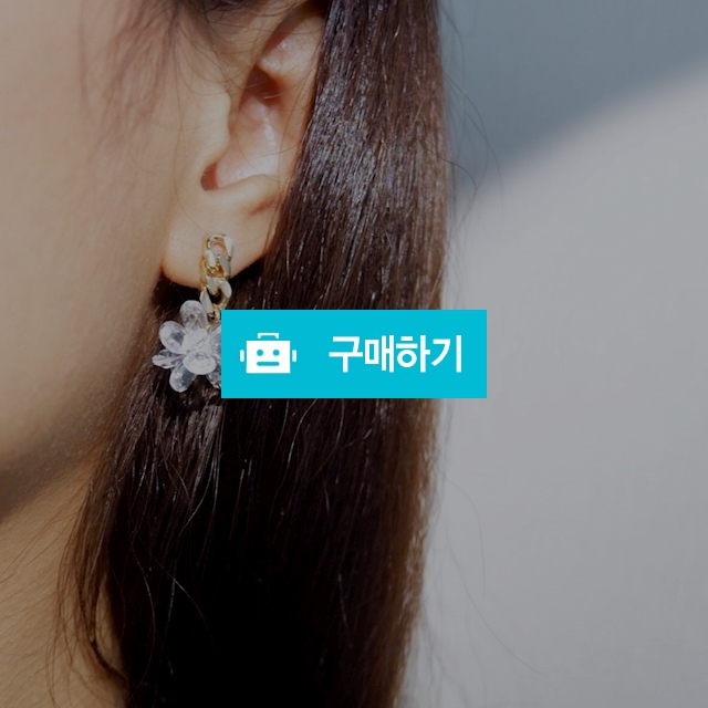 꽃 빤짝빤짝 귀걸이 / ABERNS / 디비디비 / 구매하기 / 특가할인