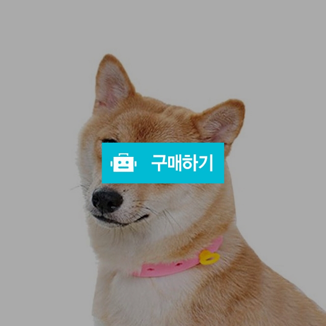 마이독 강아지 외부 해충 고양이 진드기 방지 목걸이 / 마이독님의 스토어 / 디비디비 / 구매하기 / 특가할인