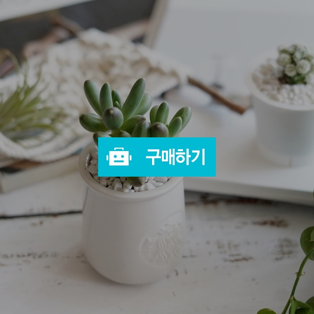 천대전송 / 엔돌핀 꼼지락공방 / 디비디비 / 구매하기 / 특가할인