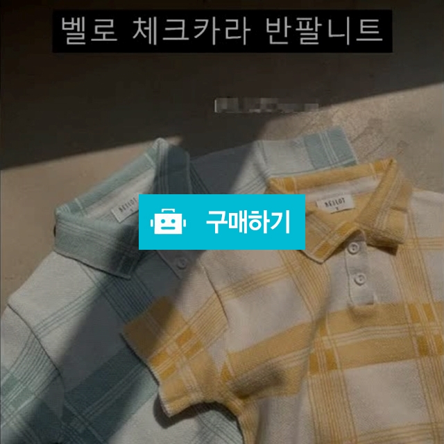 벨로 체크카라 반팔니트 / 라부미 / 디비디비 / 구매하기 / 특가할인