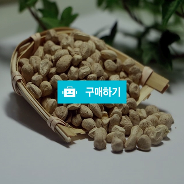 내몸속 청소부 모링가씨앗 속씨 효능 먹는법 / 다온약초님의 스토어 / 디비디비 / 구매하기 / 특가할인