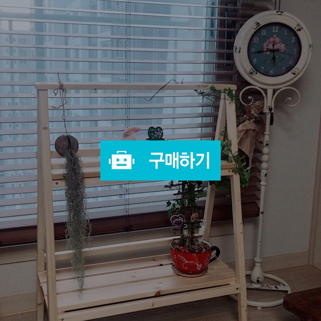 화분다이 / KGI이어드림님의 스토어 / 디비디비 / 구매하기 / 특가할인