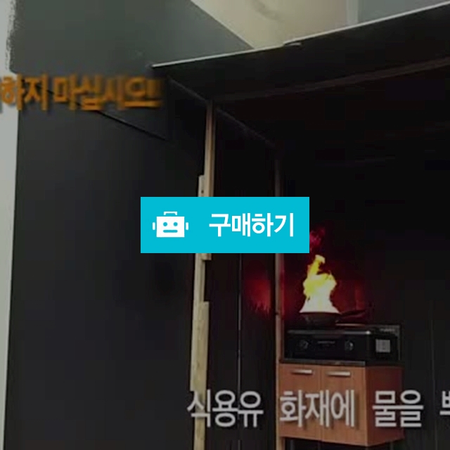 차량용소화기 캠핑소화기 스프레이소화기 / 드림인스토어 / 디비디비 / 구매하기 / 특가할인