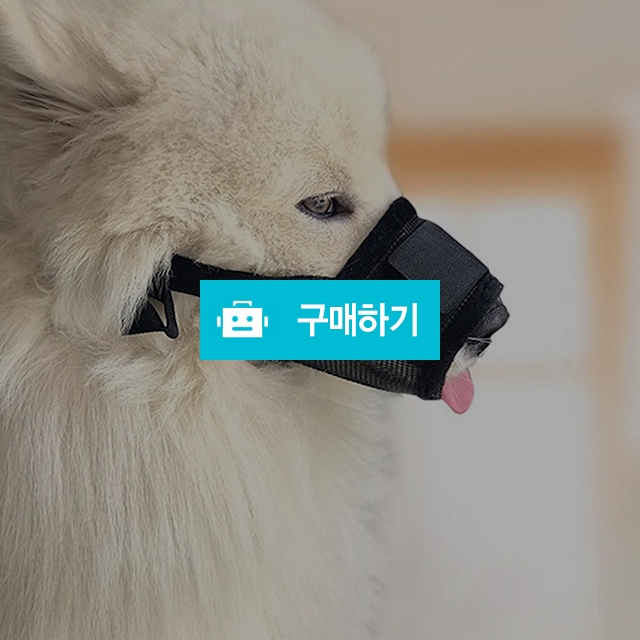고급 메쉬 입마개 강아지 입마개 / 마이독님의 스토어 / 디비디비 / 구매하기 / 특가할인