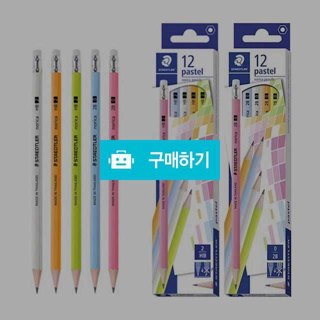 스테들러 노리카 파스텔 연필 132 43 1다스(12자루) / 설래임 / 디비디비 / 구매하기 / 특가할인