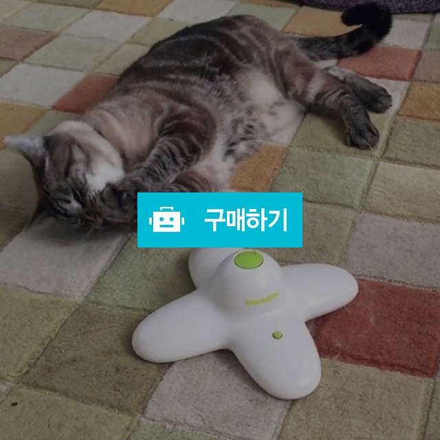 고양이장난감 캣토이 고양이낚시대 고양이레이저 고양이자동장난감 쥐 나비 장난감, 28,000원, 댕유마켓님의 스토어 [디비디비]