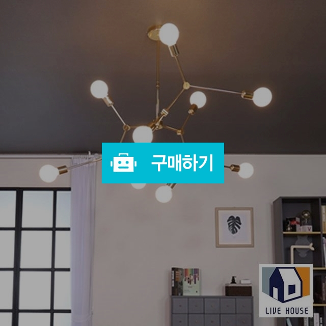 프레디 인테리어 카페 사무실 거실 디자인 조명 전등 9등 / 리브하우스님의 스토어 / 디비디비 / 구매하기 / 특가할인