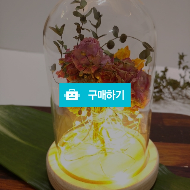 드라이플라워무드등 / 제니데코님의 스토어 / 디비디비 / 구매하기 / 특가할인