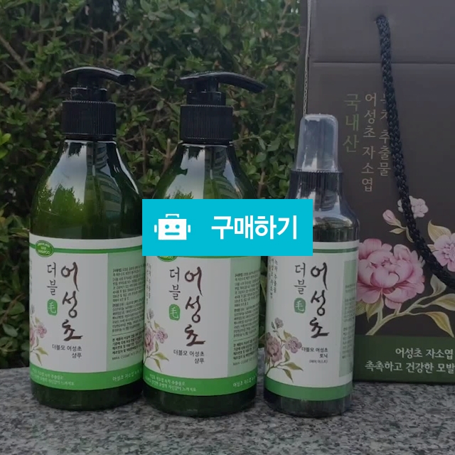 더블모 어성초 기프트패키지 / 아이포인 / 디비디비 / 구매하기 / 특가할인