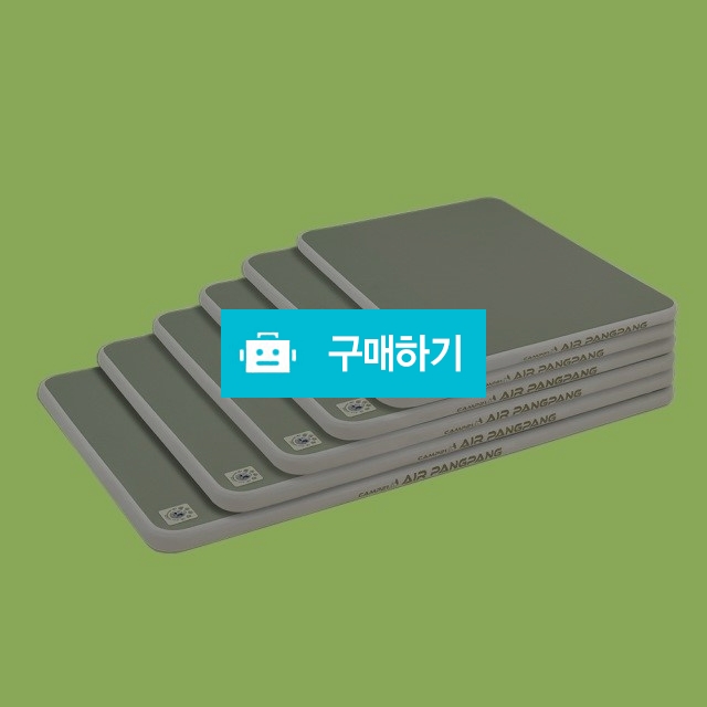 에어매트 캠핑 차박 야외 방수 층간소음 전동 수동 펌프포함 에어팡팡 R / (주)로즈비님의 스토어 / 디비디비 / 구매하기 / 특가할인