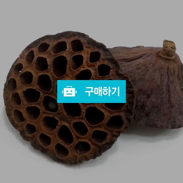 국내산 햇 연방 10송이 연꽃씨방 / 천년약초님의 스토어 / 디비디비 / 구매하기 / 특가할인