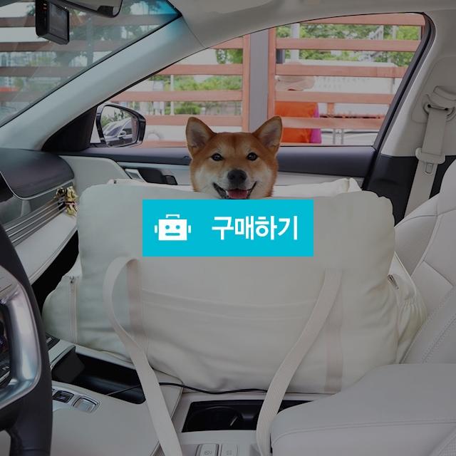 개과천선 여름용 풍기 강아지 쿨 애견 카시트 드라이빙킷 사계절 풍기인견 차시트 / 개과천선 / 디비디비 / 구매하기 / 특가할인
