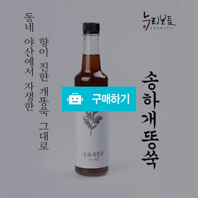 송하 개똥쑥 효소 / 힐링룸(Healing Room) / 디비디비 / 구매하기 / 특가할인