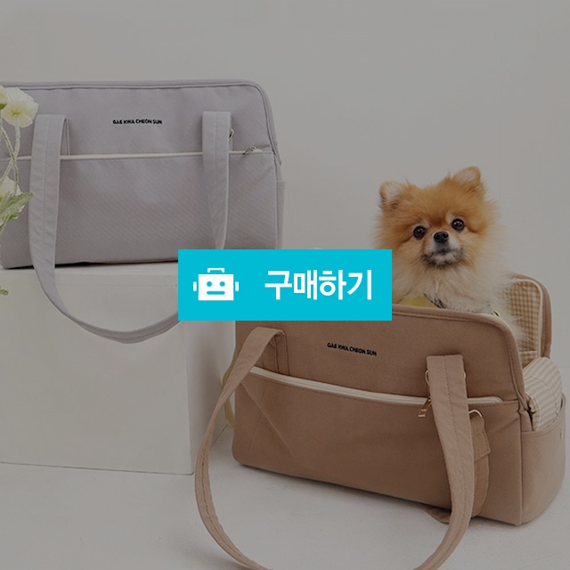 개과천선 까네 강아지 이동가방 슬링백 기내용 고양이이동장 애견 특허상품 / 개과천선 / 디비디비 / 구매하기 / 특가할인