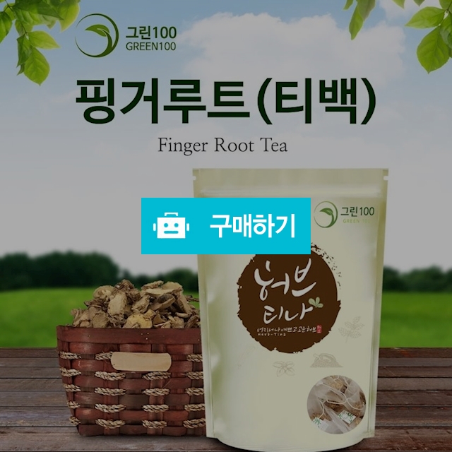 핑거루트(티백)50EA / 대구보더님의 스토어 / 디비디비 / 구매하기 / 특가할인