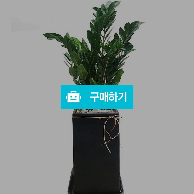 금전수 개업화분배달 / 070플라워님의 스토어 / 디비디비 / 구매하기 / 특가할인