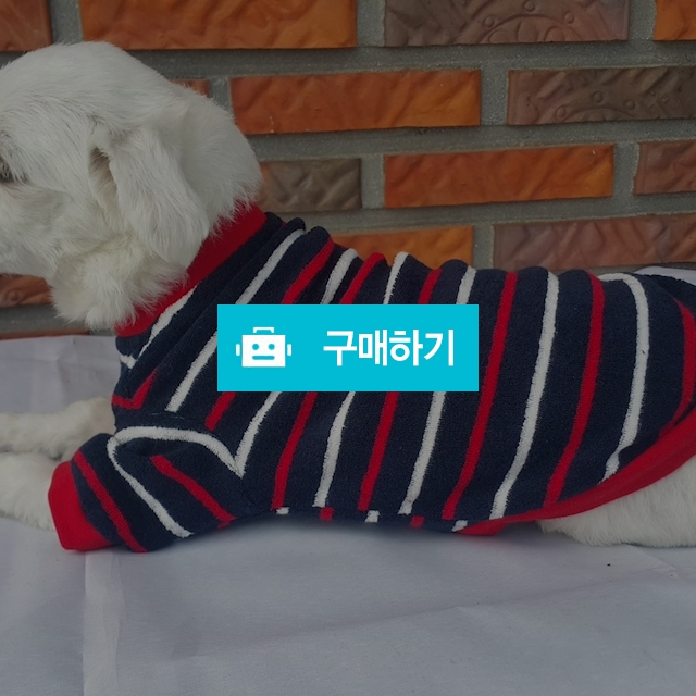 텐독 스트라이프 티셔츠 / 텐독TENDOG님의 스토어 / 디비디비 / 구매하기 / 특가할인