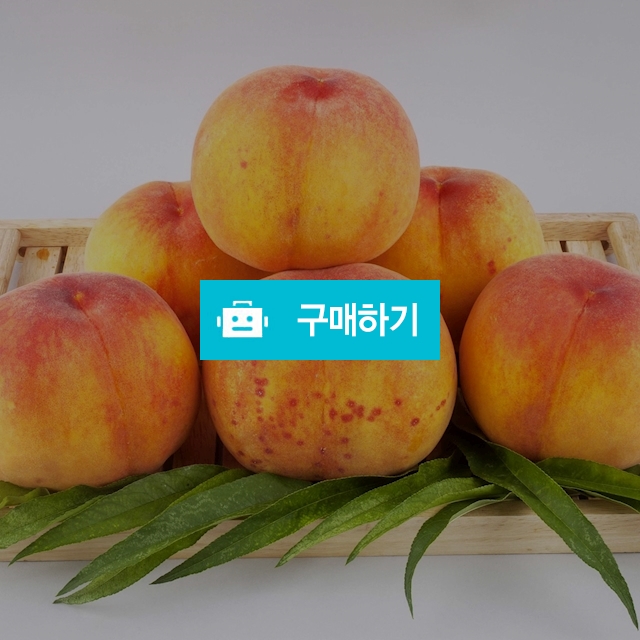 말랑말랑 황도 복숭아 2kg 4kg   중과 대과 / 영 프루트 Young Fruits / 디비디비 / 구매하기 / 특가할인