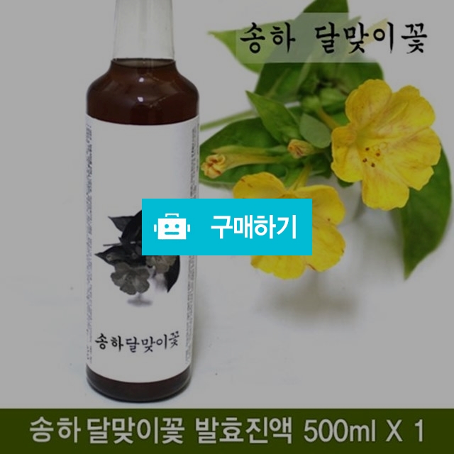 송하 달맞이꽃 효소 / 힐링룸(Healing Room) / 디비디비 / 구매하기 / 특가할인