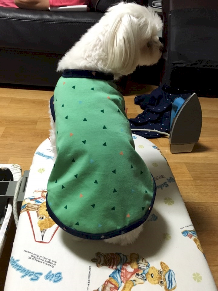 이미지