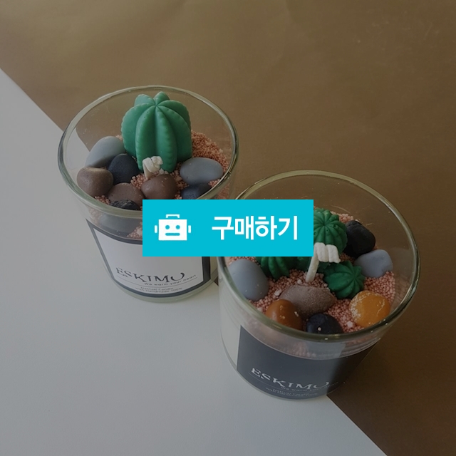 아기선인장캔들 / 에스키모캔들님의 스토어 / 디비디비 / 구매하기 / 특가할인