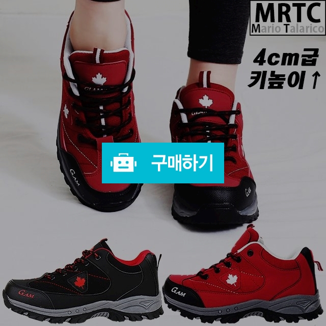 마리오탈라리코 자수패턴 트레킹 키높이 매쉬스니커즈 4cm굽 여성스니커즈 등산화 경량화 / 마리오탈라리코님의 스토어 / 디비디비 / 구매하기 / 특가할인