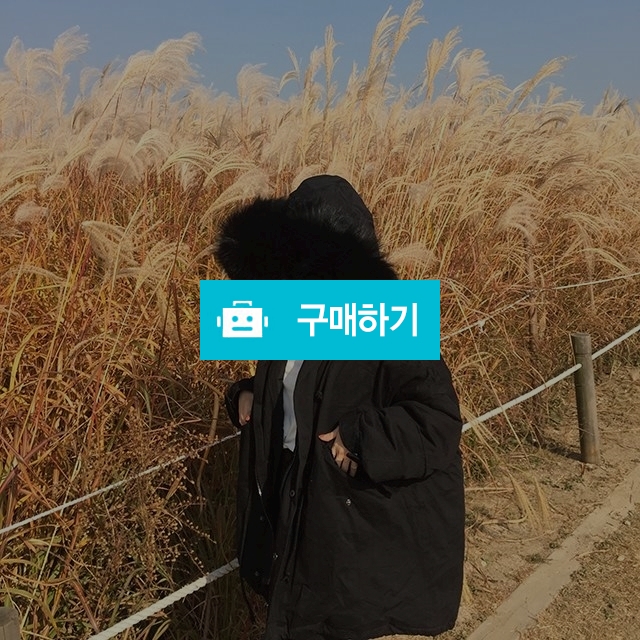 라쿤 오리털 야상 점퍼 / 야상 패딩 / 셀럽님의 스토어 / 디비디비 / 구매하기 / 특가할인