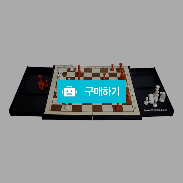 명인 교본포함 접이식 소형 자석 체스 M-100 / 설래임 / 디비디비 / 구매하기 / 특가할인