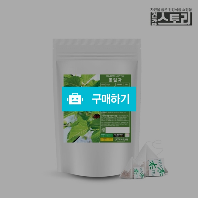 뽕잎차 삼각티백 100개입 뽕나무잎 상엽 / 건강스토리 / 디비디비 / 구매하기 / 특가할인