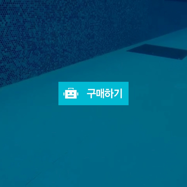 수영장장난감 물속장난감 dive torpedo / 난폭한거북이님의 스토어 / 디비디비 / 구매하기 / 특가할인