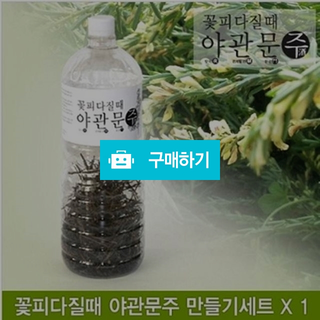 꽃피다 질때 야관문주 만들기세트 / 힐링룸(Healing Room) / 디비디비 / 구매하기 / 특가할인