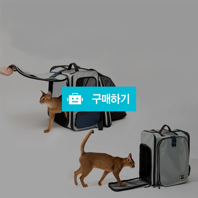 냥슬아치 고양이 강아지 확장형 백팩 가방 이동장 캐리어 / 냥슬아치님의 스토어 / 디비디비 / 구매하기 / 특가할인
