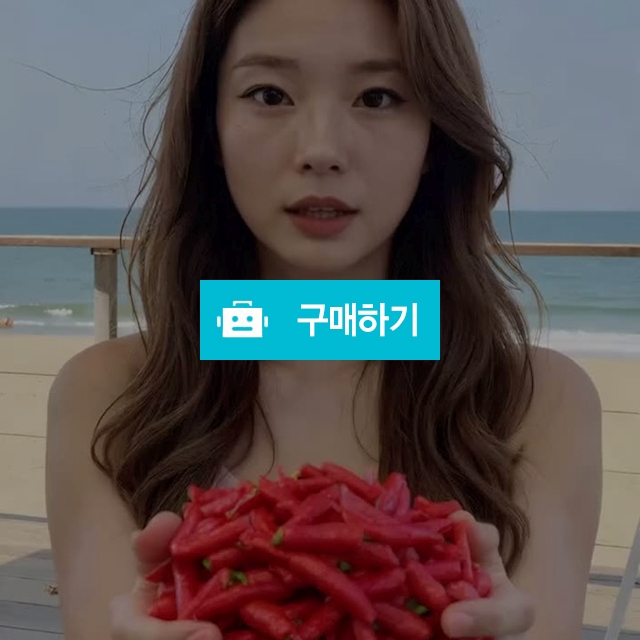 2025년 햇 고추가루 / 다솜네텃밭 / 디비디비 / 구매하기 / 특가할인