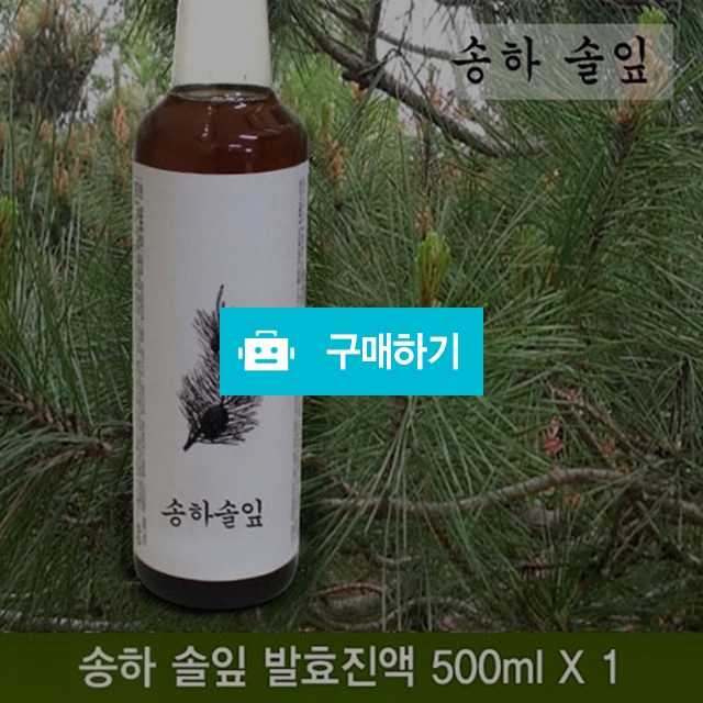 송하솔잎효소 / 힐링룸(Healing Room) / 디비디비 / 구매하기 / 특가할인