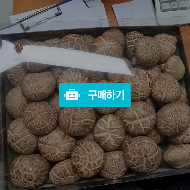표고특선물세트2kg / 손치워님의 스토어 / 디비디비 / 구매하기 / 특가할인